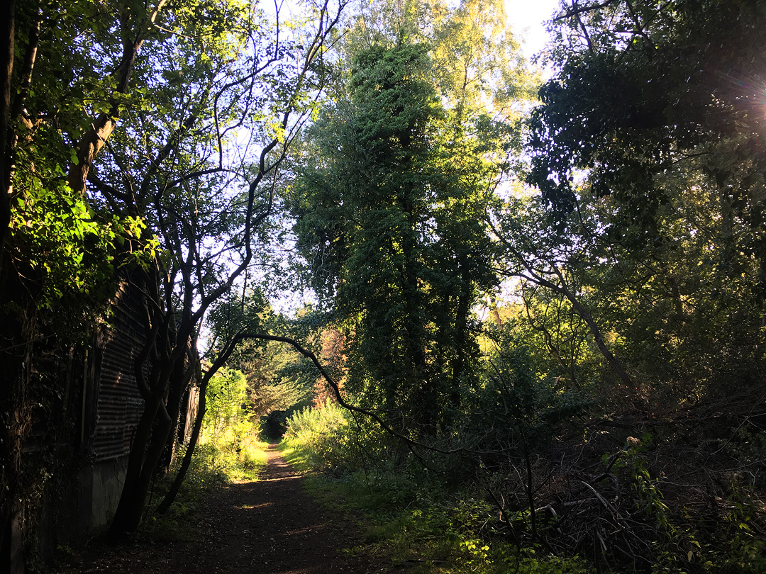 old railway path on the pingo trail