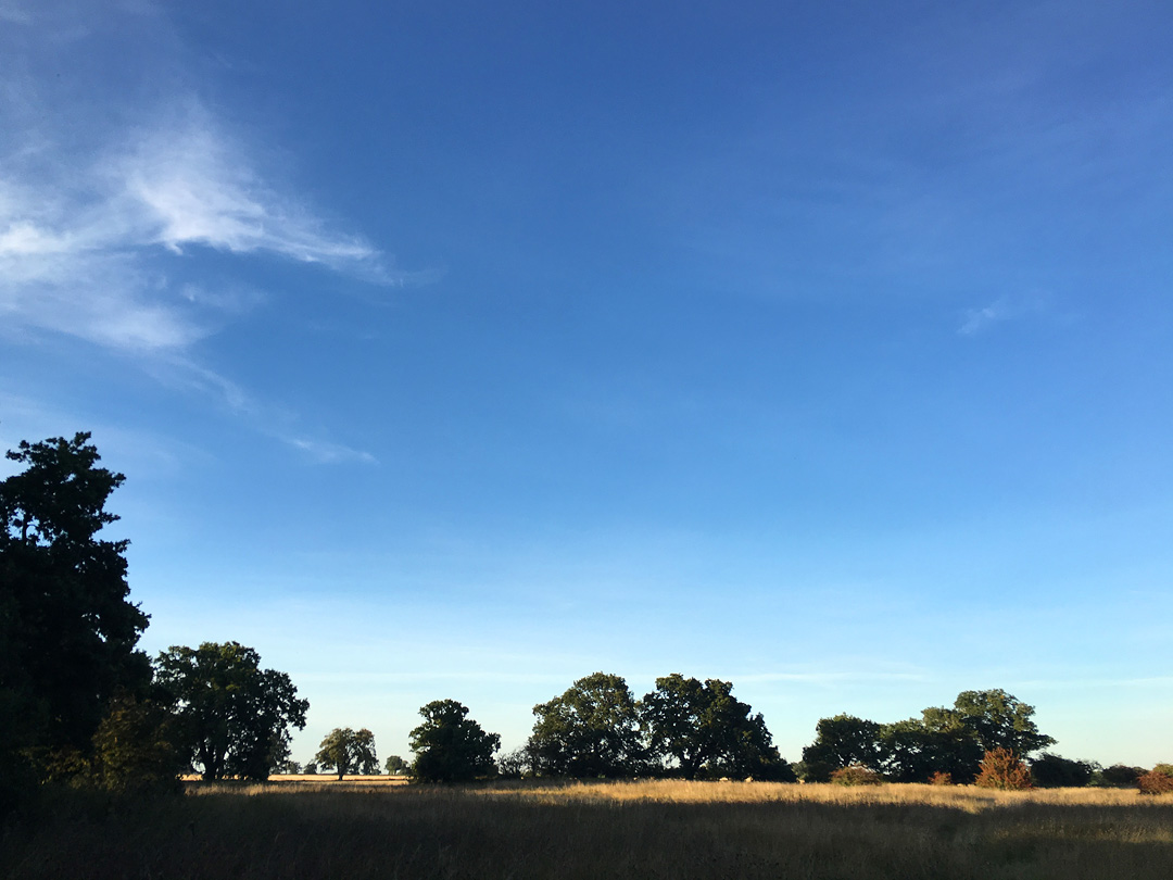 fields in early autumn