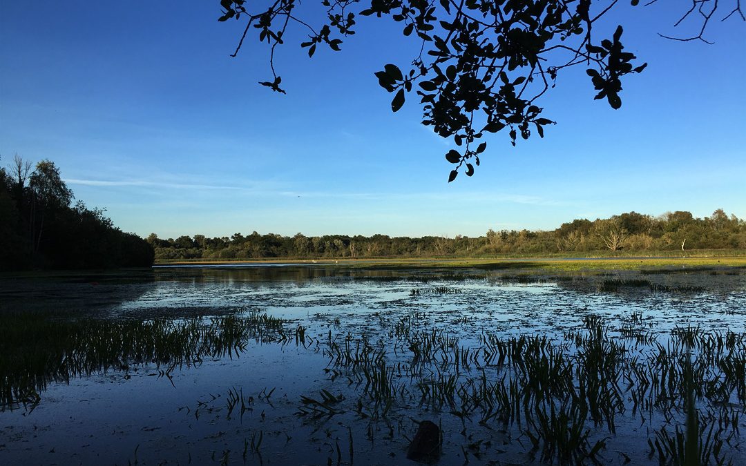 tompson water on the great eastern pingo trail